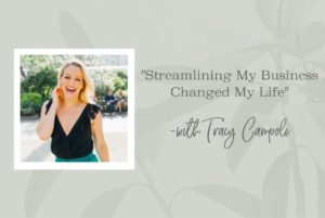 SS 34 Streamlining My Business Changed My Life - www.TheresaLoe.com