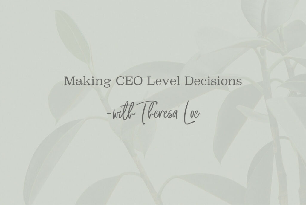 SS 118 Making CEO Level Decisions - www.TheresaLoe.com