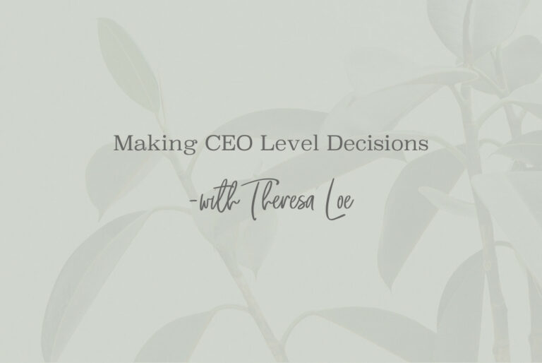 SS 118 Making CEO Level Decisions - www.TheresaLoe.com